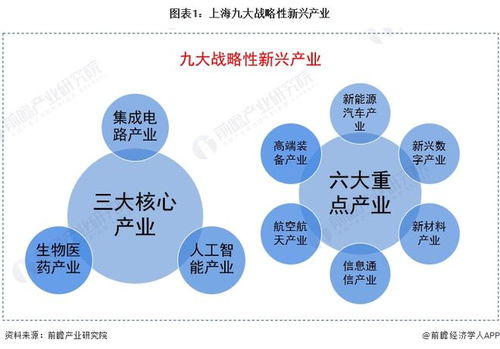 2022年上海产业结构之九大战略性新兴产业全景图谱 附产业空间布局 产业增加值 各地区发展差异等